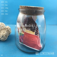 500ml玻璃储物罐